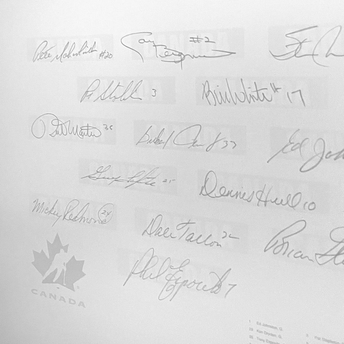 O' Canada Signed Framed Original Painting by Artist Daniel Parry - 35 Signatures