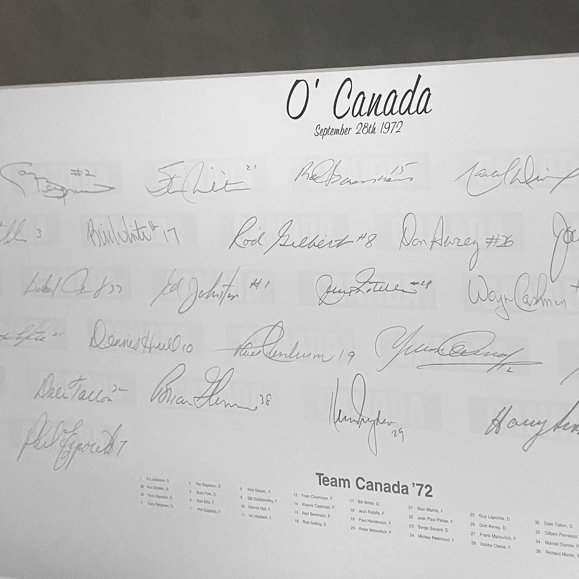 O' Canada Signed Framed Original Painting by Artist Daniel Parry - 35 Signatures