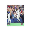 Joe Carter Toronto Blue Jays Engraved Framed Photo - 1993 World Series Home Run
