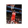 Pascal Siakam Toronto Raptors Engraved Framed Photo - Dunk