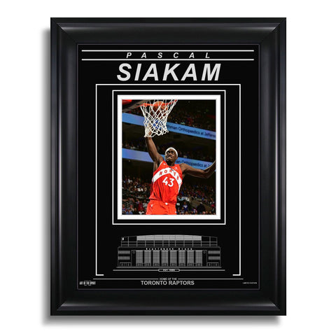 Pascal Siakam Toronto Raptors Engraved Framed Photo - Dunk